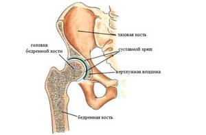ízületi fájdalom nyálkahártya térd osteoarthritis 2 fokos tünetek kezelése