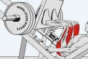 Performing a single leg press for the buttocks and hamstrings Leg press what muscles are involved