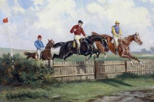 Derby, takistusjooks, võidusõit: kõik kõige huvitavamad asjad hobuste võiduajamise kohta