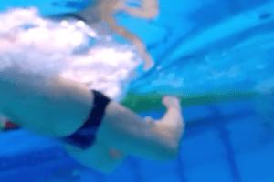 Все, что нужно знать про плавание брассом — история возникновения, правильная техника