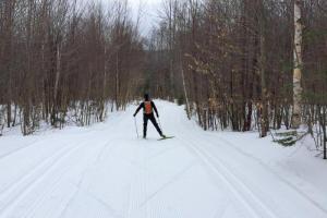 सर्वोत्तम अल्पाइन स्की: रेटिंग और विशेषताएँ