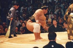 What is the average weight of a sumo wrestler?