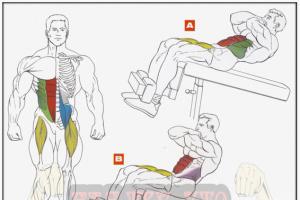 Lifting onto a bench with dumbbells